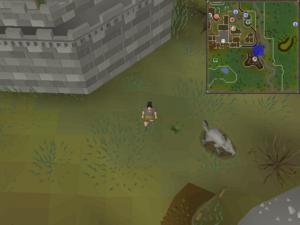 Map clue solution South-eastern Varrock Mine.png