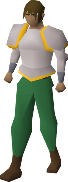 File:Initiate hauberk equipped male.png