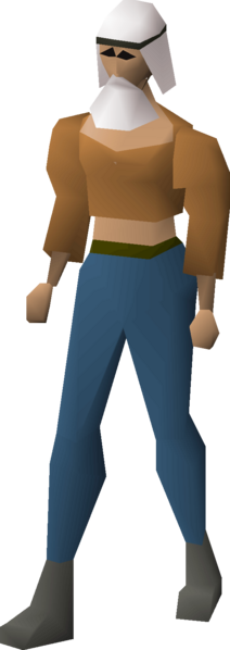 File:Desert disguise equipped female.png
