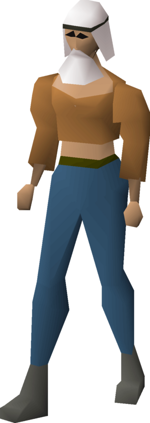 Desert disguise equipped female.png