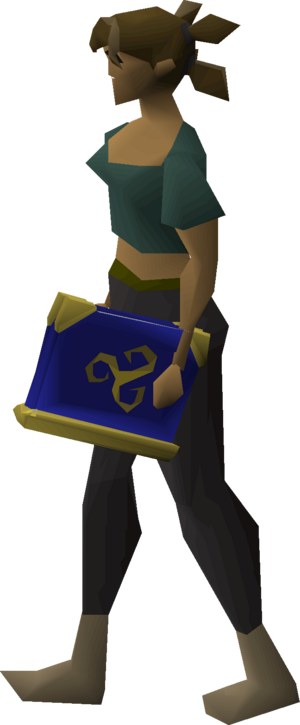 Holy book (or) equipped female.png