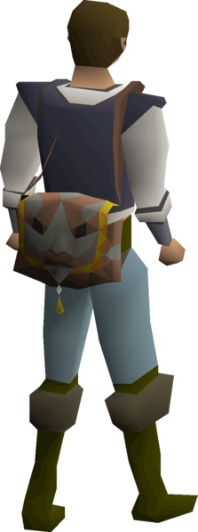 File:Lost bag equipped male.png