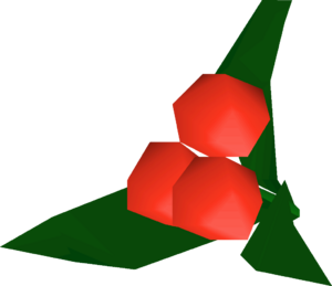 Pharmakos berries detail.png