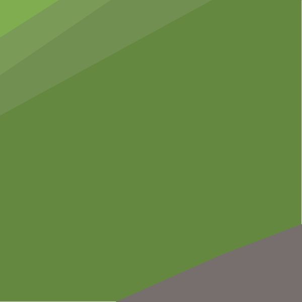 File:Sliding piece (Castle 21) detail.png