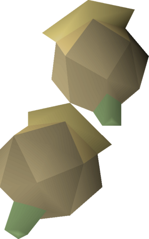 Celastrus seed 2 detail.png