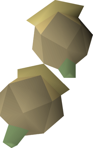 File:Celastrus seed 2 detail.png