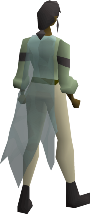 Cobweb cape equipped female.png