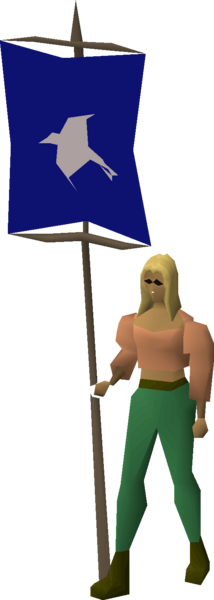 File:Banner (Arrav) equipped female.png