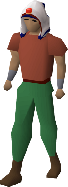 File:Saradomin max hood equipped.png