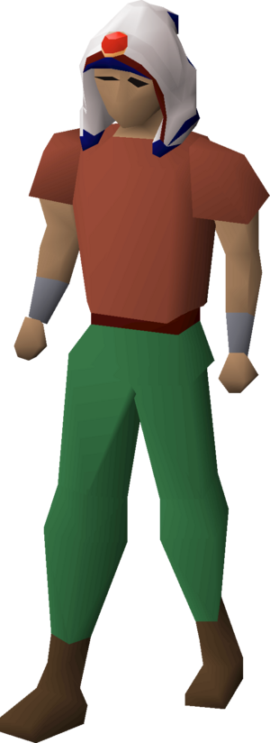 Saradomin max hood equipped.png