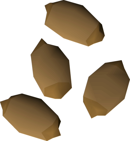 File:Calquat tree seed 4 detail.png