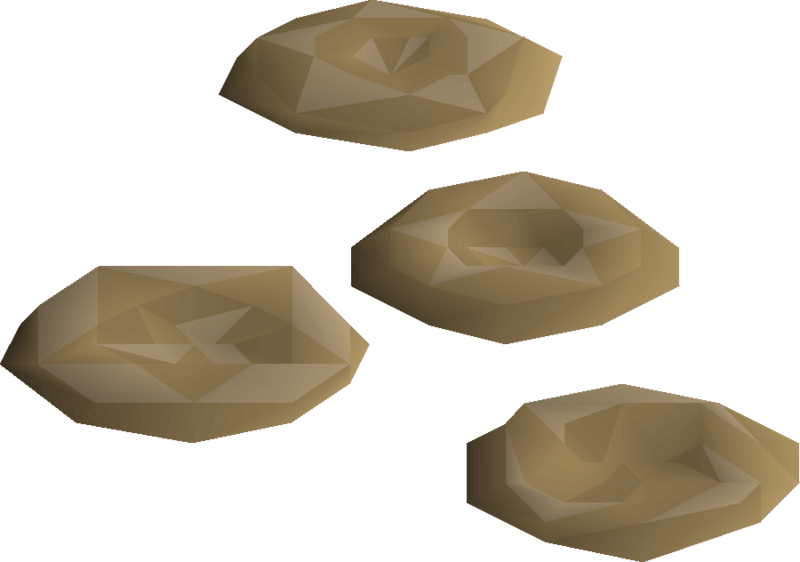 File:Numulite 3 detail.png