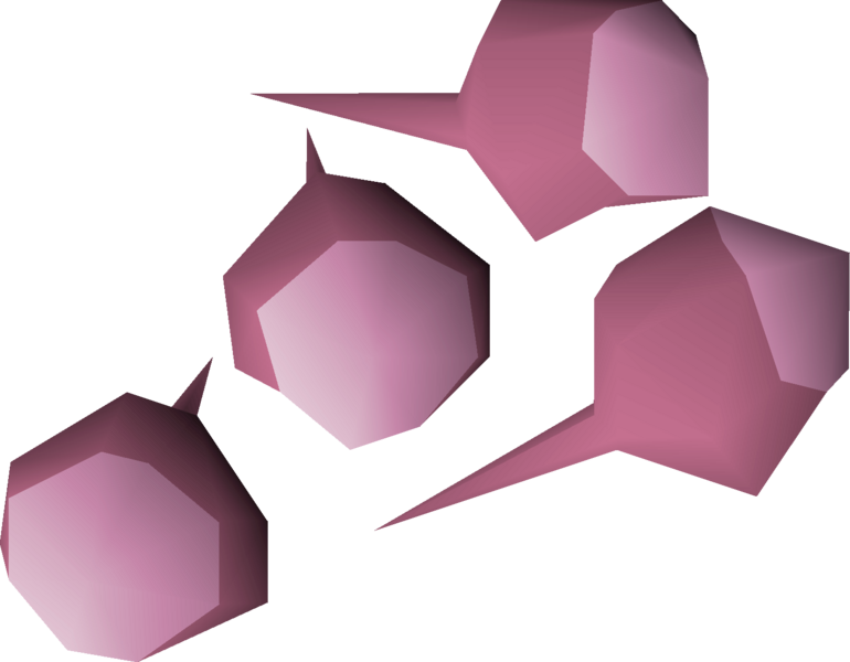 File:Pink rose seed 4 detail.png