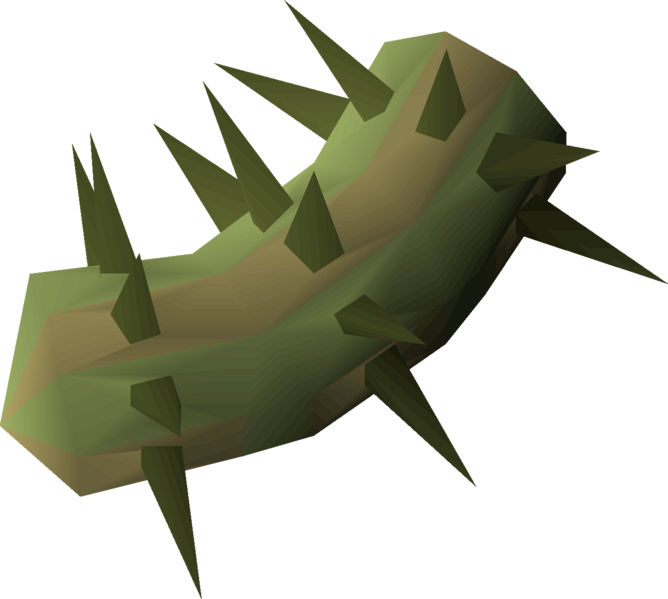 File:Potato cactus detail.png