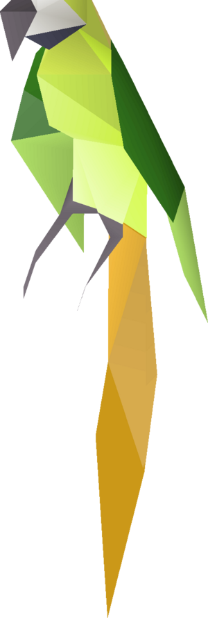 Drunk parrot detail.png