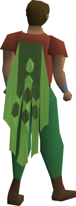 Team-40 cape equipped.png
