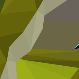 Sliding piece (Zulrah 7) detail.png