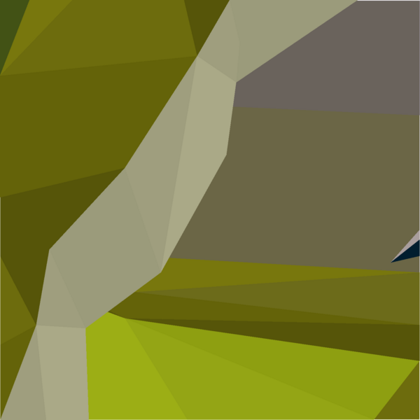 File:Sliding piece (Zulrah 7) detail.png