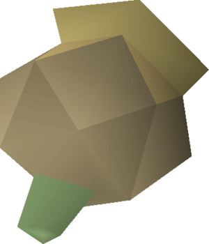 Celastrus seed 1 detail.png