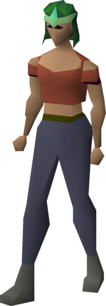 File:Guthix coif equipped female.png