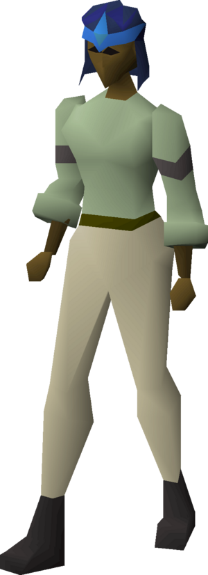 Saradomin coif equipped female.png