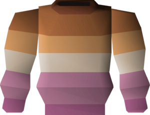 Colourful jumper (lesbian) detail.png