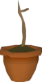 Thumbnail for version as of 17:56, 14 October 2024