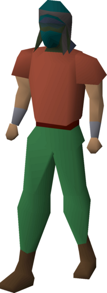 File:Lunar helm equipped male.png