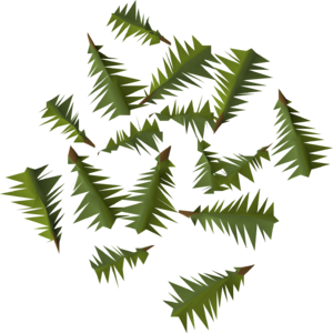 Yew leaves detail.png