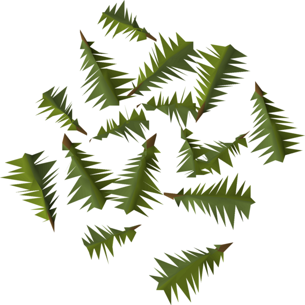 File:Yew leaves detail.png