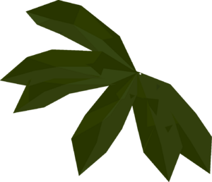 Kelp detail.png