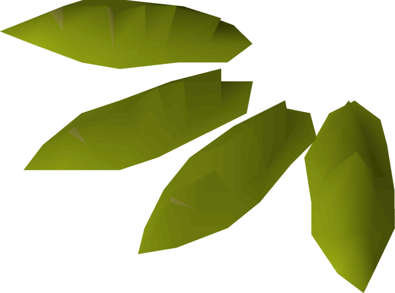 File:Willow seed 4 detail.png