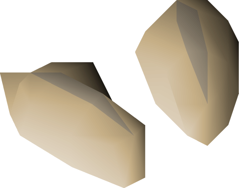 File:Barley seed 2 detail.png