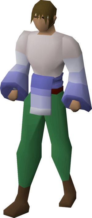 Decorative armour (magic top) equipped male.png