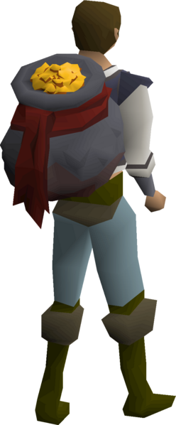 File:Infinite money bag equipped male.png