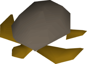 Sea turtle detail.png