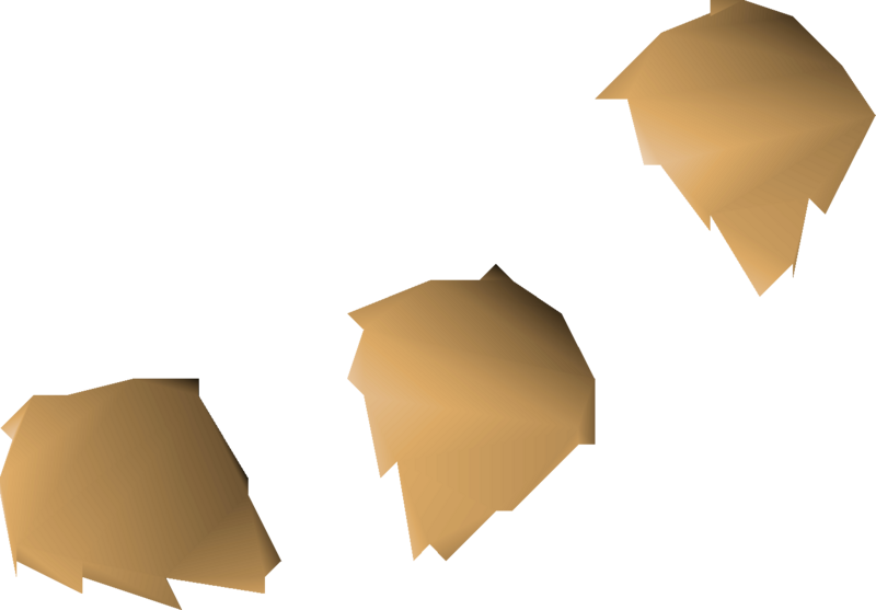 File:Tomato seed 3 detail.png