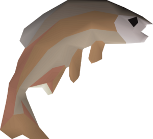 Common tench detail.png