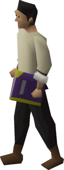 File:Book of darkness equipped.png