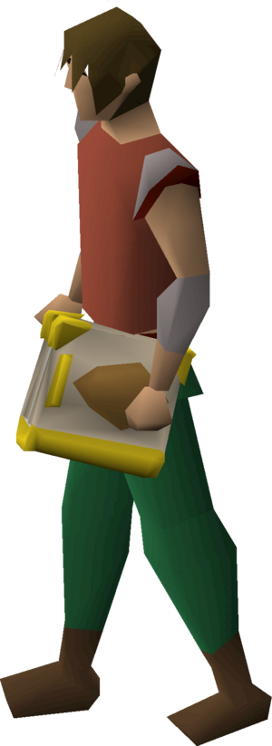 Book of egg equipped male.png