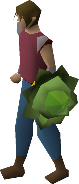 Cabbage round shield equipped.png