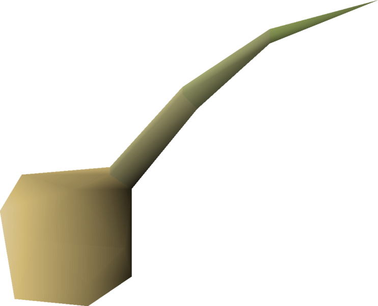 File:Onion seed 1 detail.png