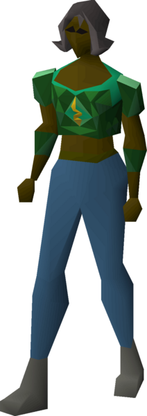 File:Guthix d'hide body equipped female.png