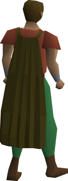 File:Fremennik brown cloak equipped.png