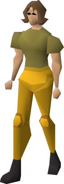 File:Gilded platelegs equipped female.png