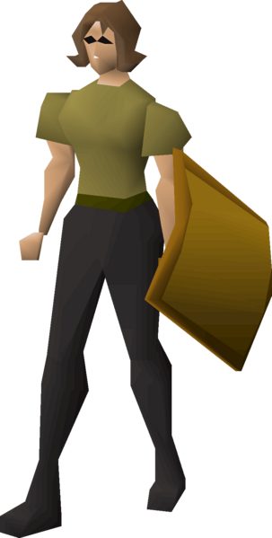 File:Gilded sq shield equipped female.png