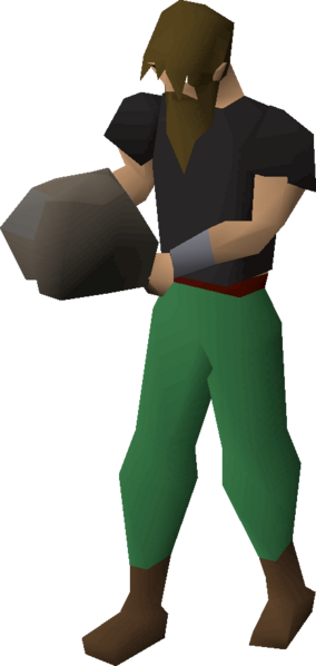 File:Pet rock equipped.png