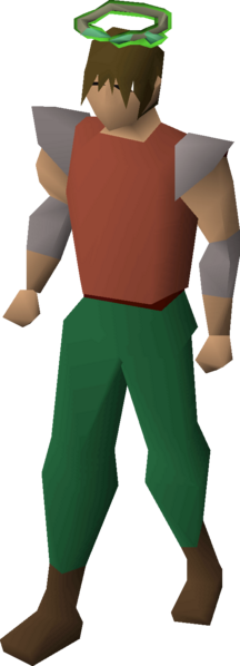 File:Guthix halo equipped.png