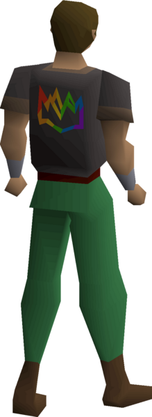 File:Rainbow crown shirt equipped male.png