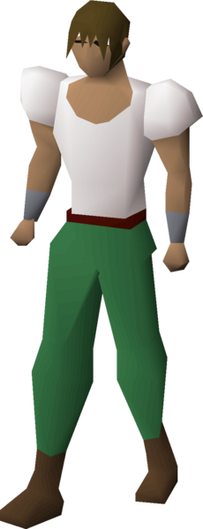 File:Royal frog blouse equipped male.png